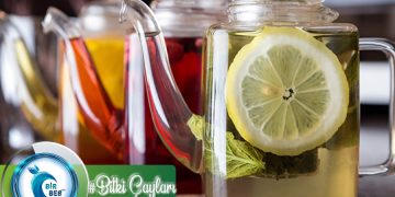 Bitki Çayları Nelerdir? Nasıl Hazırlanır? Hangi Hastalıkları Tedavi Ederken Kullanılır?