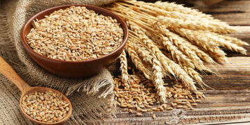 Buğday Nedir? Faydaları Nelerdir?