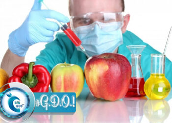 Genetiği Değiştirilmiş Organizma (GDO) Nedir? Hangi Besinlerde Bulunur? Etkileri Nelerdir?