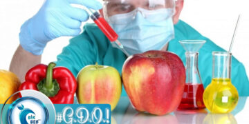 Genetiği Değiştirilmiş Organizma (GDO) Nedir? Hangi Besinlerde Bulunur? Etkileri Nelerdir?