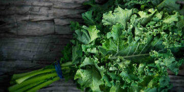 Karalahana Nedir? Faydaları Ve Zararları Nelerdir?