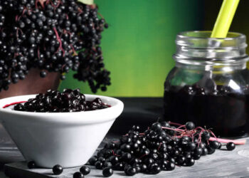 Mürver Nedir? Faydaları Ve Zararları Nelerdir?