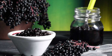 Mürver Nedir? Faydaları Ve Zararları Nelerdir?