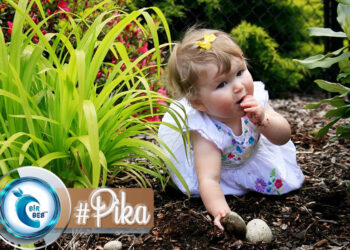 Pika Sendromu Nedir? Kaç Çeşittir? Tehlikeleri Nelerdir?