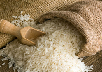 Pirinç Nedir? Faydaları Ve Zararları Nelerdir?