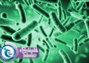 Probiyotiklerin Diyabet Üzerine Etkisi