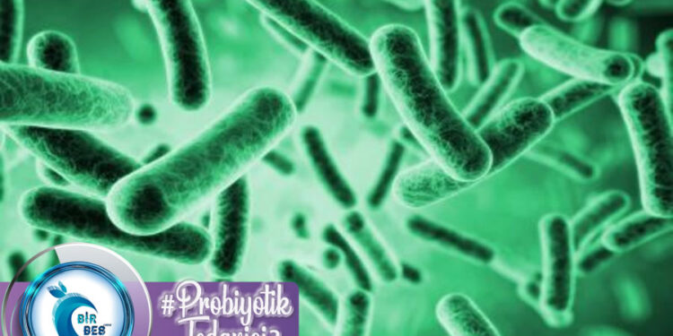 Probiyotiklerin Diyabet Üzerine Etkisi