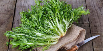 Radika Nedir? Faydaları Ve Zararları Nelerdir?