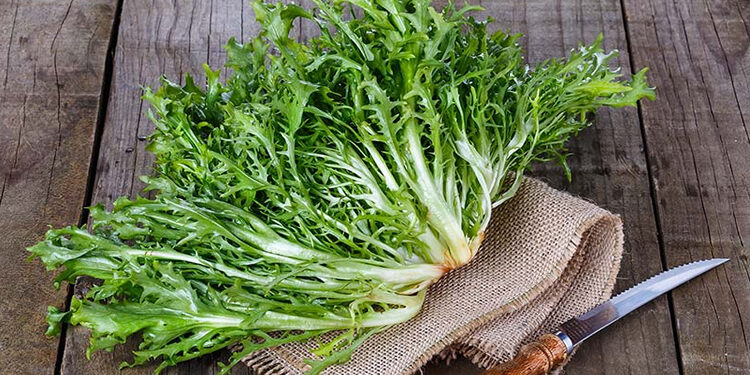 Radika Nedir? Faydaları Ve Zararları Nelerdir?