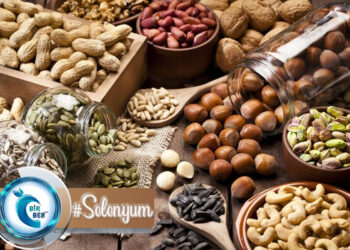 Selenyum (Se) Nedir? Etkileri Nelerdir? Hangi Besinlerde Bulunur?