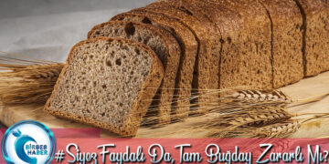 Siyez Ekmeği Faydalı Da, Tam Buğdaylı Ekmek Zararlı Mı?