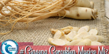 Dünya Çapında En Çok Satılan Ürünlerden Biri Olan Ginseng Gerçekten Mucize Mi?