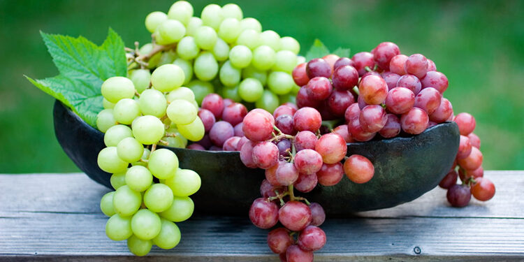 Üzüm Nedir? Faydaları Ve Zararları Nelerdir?