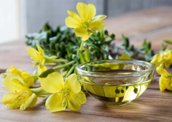 Alfa-Linolenik Asit Nedir? Faydaları Nelerdir? Hangi Besinlerde Bulunur?