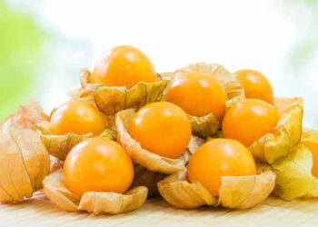 Altın Çilek Nedir? Faydaları Ve Zararları Nelerdir?