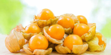 Altın Çilek Nedir? Faydaları Ve Zararları Nelerdir?