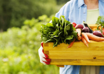 Antienflamatuar Diyet Nedir? Antienflamatuar Besinler Hangileridir? Etkileri Nelerdir?