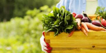 Antienflamatuar Diyet Nedir? Antienflamatuar Besinler Hangileridir? Etkileri Nelerdir?