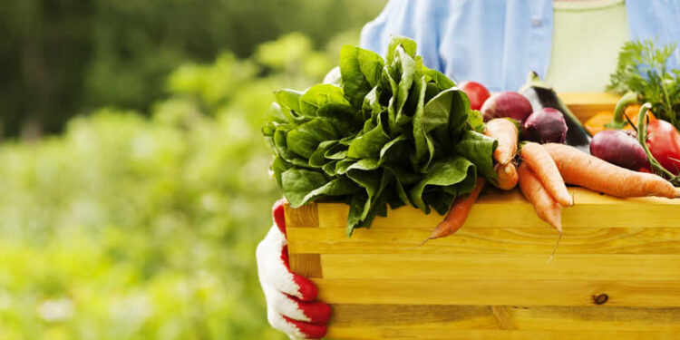 Antienflamatuar Diyet Nedir? Antienflamatuar Besinler Hangileridir? Etkileri Nelerdir?