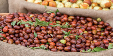 Hünnap Nedir? Faydaları Ve Zararları Nelerdir?