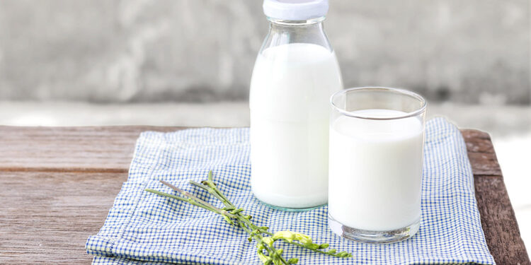 Süt Nedir? Faydaları Ve Zararları Nelerdir?