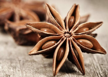 Anason Nedir? Faydaları Ve Zararları Nelerdir?