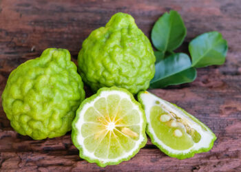 Bergamot Nedir? Faydaları Ve Zararları Nelerdir?