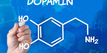 Dopamin Hormonu Nedir? Görevleri Nelerdir? Eksikliğinde Neler Görülür?