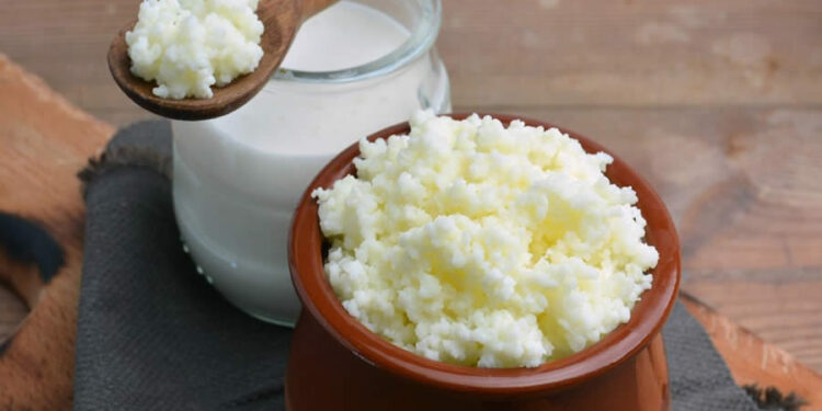 Kefir Nedir? Faydaları Ve Zararları Nelerdir?