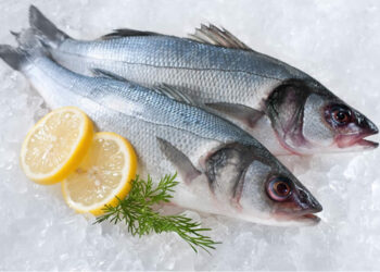Levrek Balığı Faydaları Nelerdir? Hangi Denizde Bulunur? Hangi Ayda Tazedir?