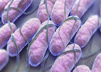 Salmonella Nedir? Klinik Bulguları Nelerdir? Nasıl Bulaşır?