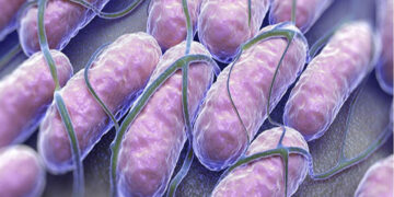 Salmonella Nedir? Klinik Bulguları Nelerdir? Nasıl Bulaşır?