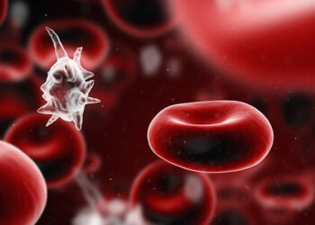 Sepsis Nedir? Etkileri Nelerdir? Beslenme Tedavisi Nasıldır?