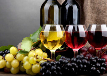Şarap İçmek Gerçekten Yararlı Mı? Şarabın Sağlık Üzerine Etkileri Nelerdir?