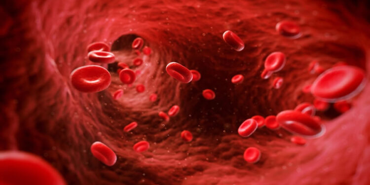 Megaloblastik Anemi Nedir? Sebepleri Nelerdir? Nasıl Tedavi Edilir?