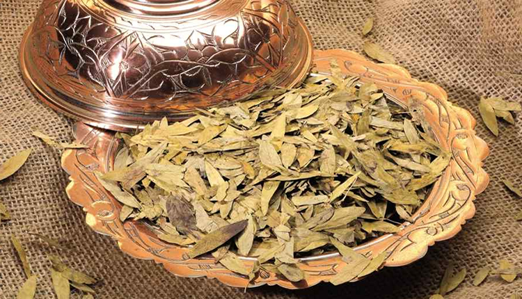 Sinameki Nedir Faydalari Ve Zararlari Nelerdir Birbes