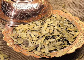 Sinameki Nedir? Faydaları Ve Zararları Nelerdir?