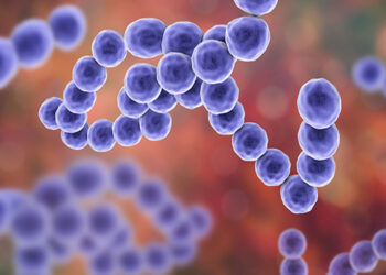 Akkermansia Muciniphila Nedir? Etkileri Nelerdir?