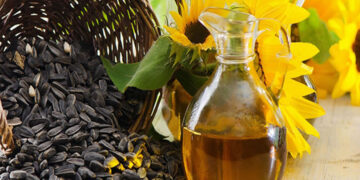 Ayçiçek Yağı Nedir? Tüketilmesi Sakıncalı Mıdır? Sağlık Üzerine Etkileri Nelerdir?