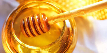 Deli Bal Nedir? Faydaları Ve Zararları Nelerdir?