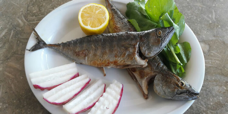 Palamut Balığı Faydaları Nelerdir? Hangi Denizde Bulunur? Hangi Ayda Tazedir?