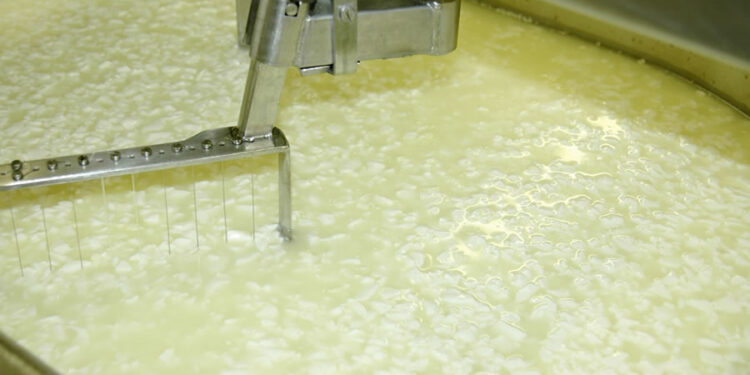 Peynir Altı Suyu Nedir? Neden Kullanılır? Faydaları Nelerdir?