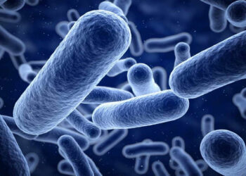 Listeria Nedir? Etkileri Nelerdir? Hangi Besinlerle Bulaşır?