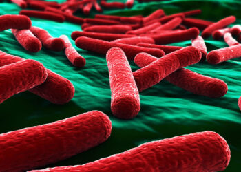 Escherichia Coli (E. Koli) Nedir? Nasıl Bulaşır? Etkileri Nelerdir?