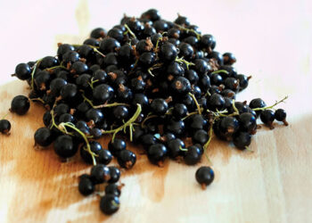 Kuş Üzümü Nedir? Faydaları Ve Zararları Nelerdir?
