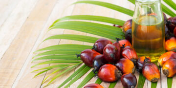 Palm Yağı Nedir? Faydaları Ve Zararları Nelerdir?