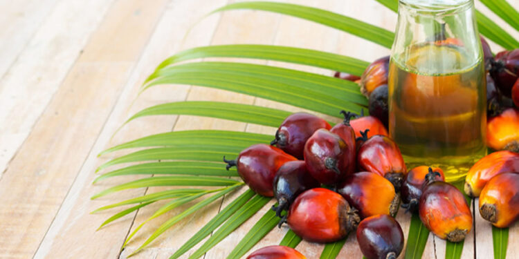 Palm Yağı Nedir? Faydaları Ve Zararları Nelerdir?