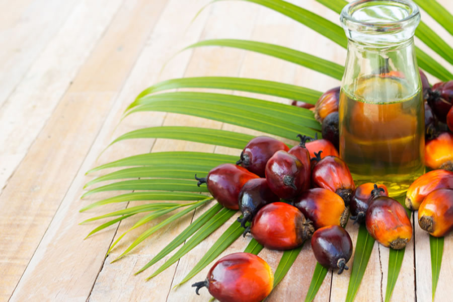 doğal kırmızı palmiye yağı kalp sağlığı)