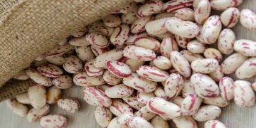 Barbunya Fasulyesi Nedir? İçeriğinde Neler Vardır? Faydaları Nelerdir?