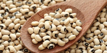 Börülce Nedir? Çeşitleri Nelerdir? Faydaları Ve Zararları Nelerdir?